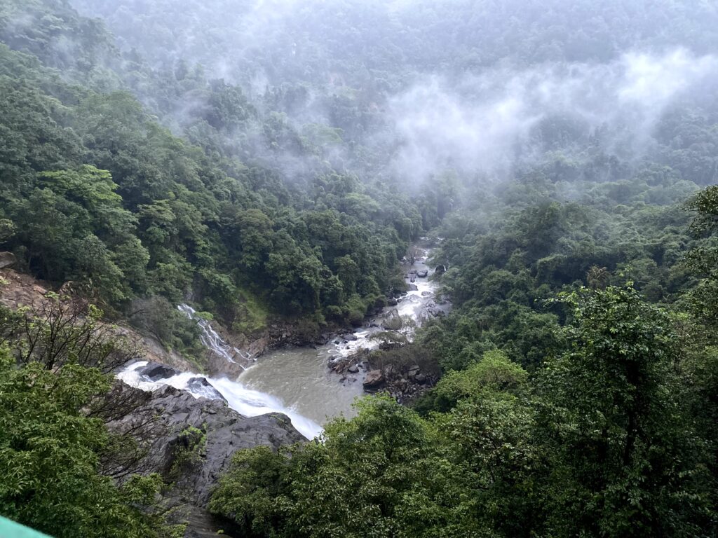 Bhagwan Mahavir Wildlife Sanctuary