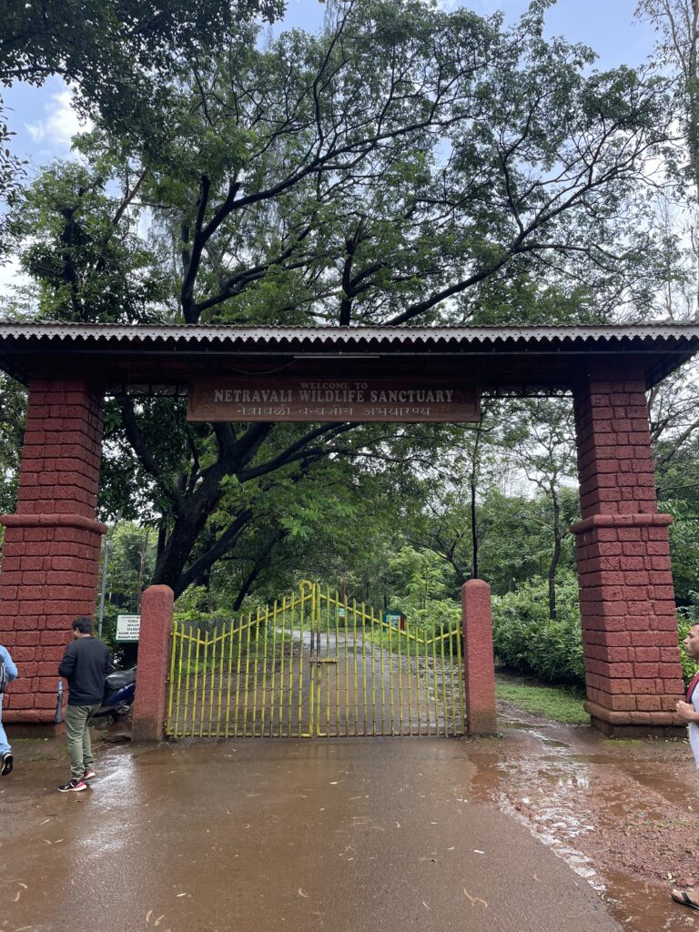 Netravali Wildlife Sanctuary