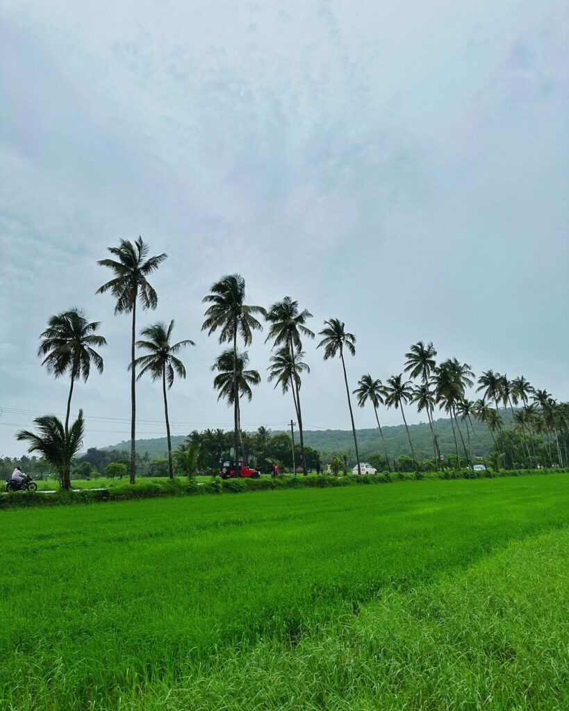 Is it Good To Visit Goa In Monsoon?Here’s Everything You Need to Know (2025)