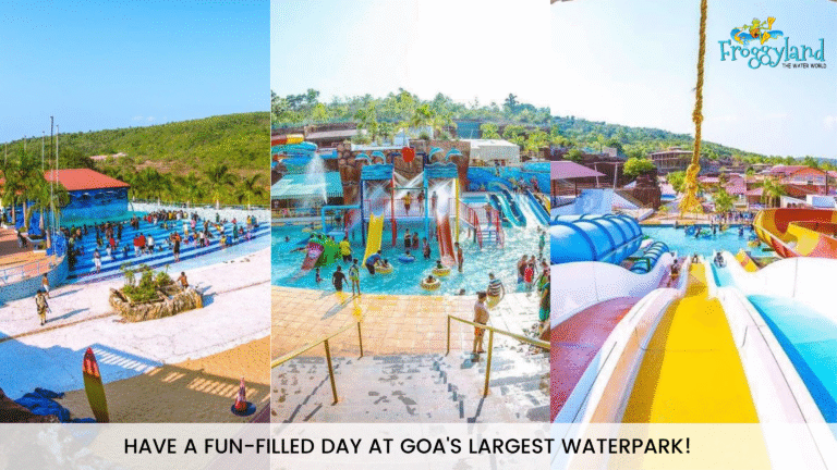 Froggyland (Nuvem Goa)