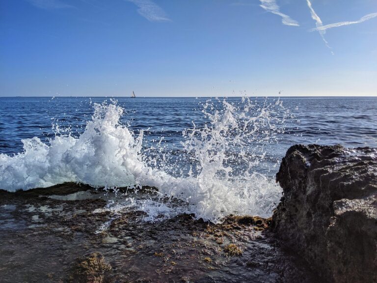 zzz, goa, hjk, goa, goa, goa, goa, goa