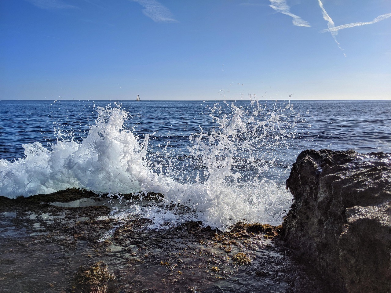 zzz, goa, hjk, goa, goa, goa, goa, goa