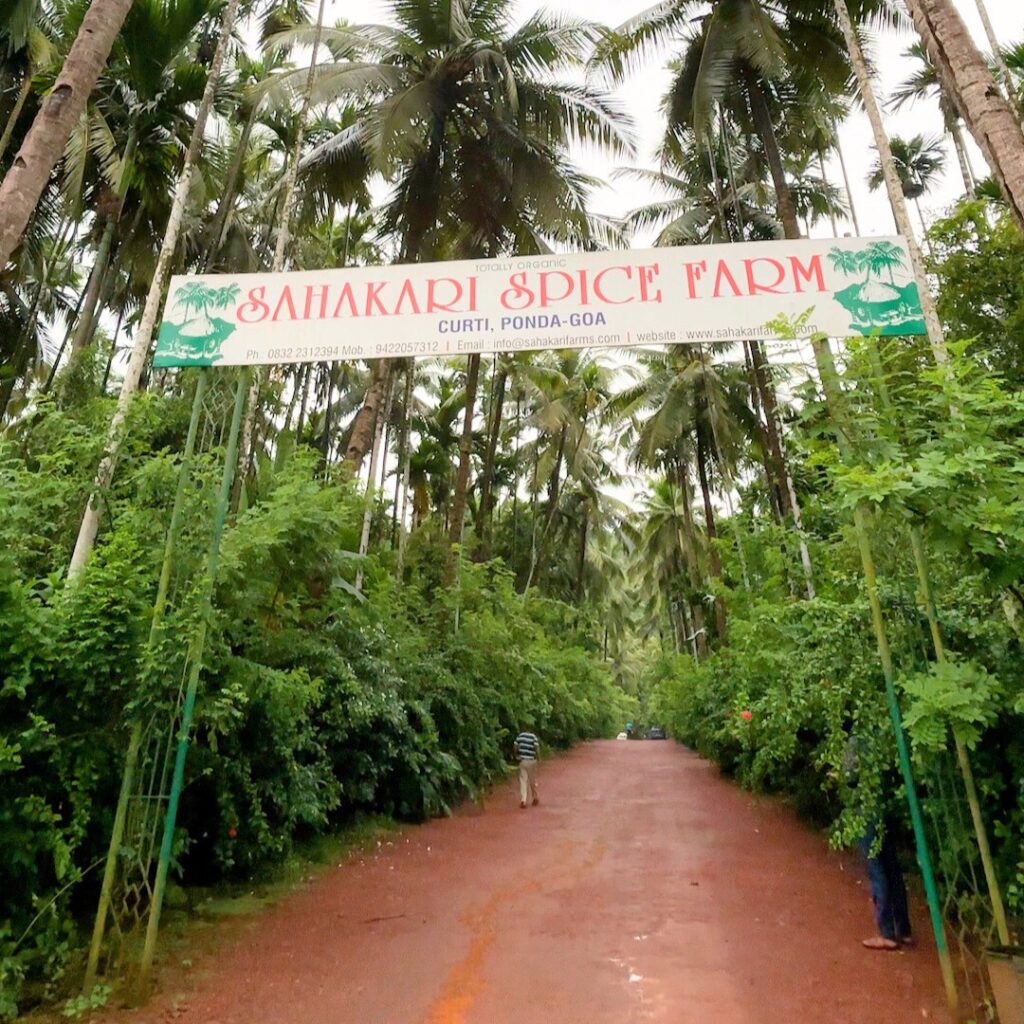 Sahakari Spice Farm (Ponda Goa)