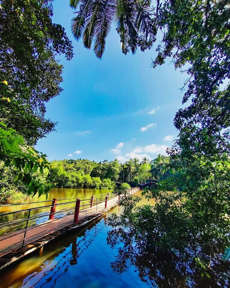 Tropical Spice Plantation (keri Ponda Goa)