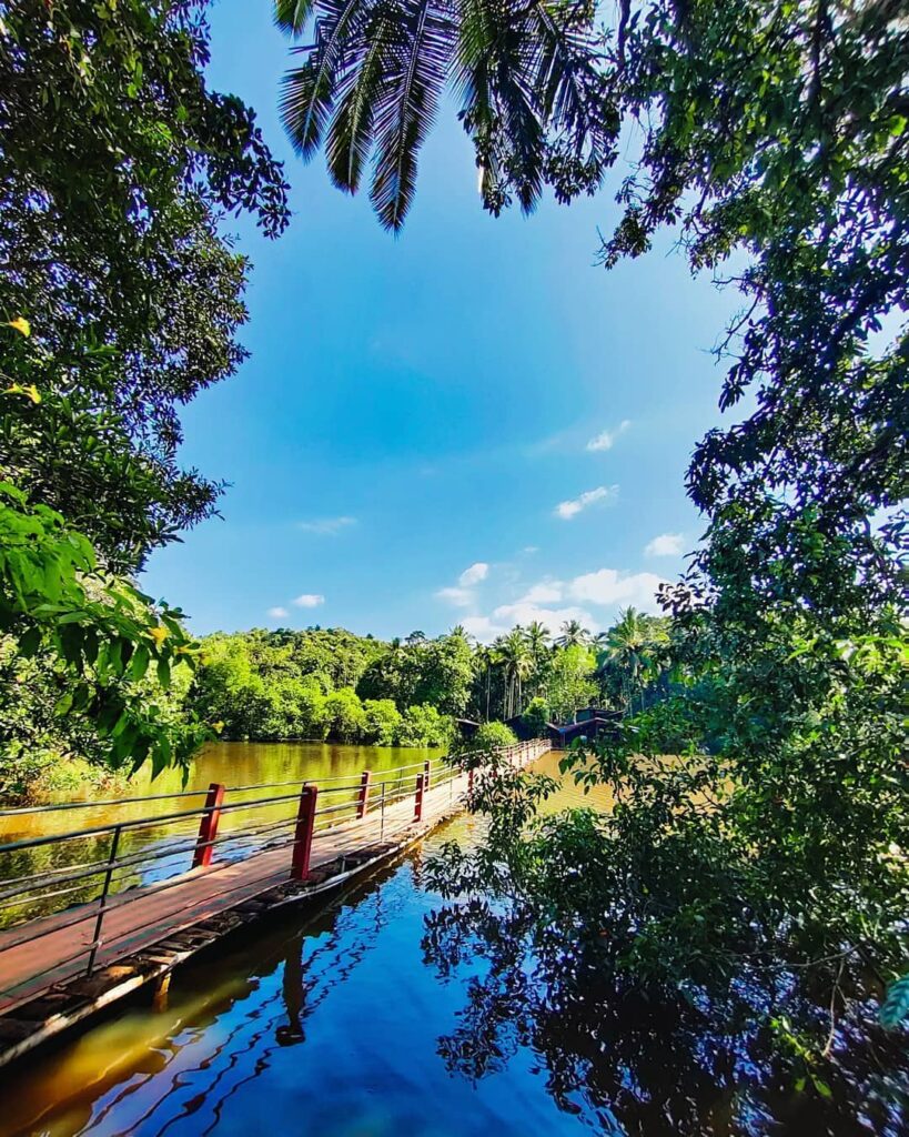Tropical Spice Plantation (keri Ponda Goa)